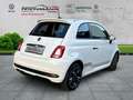 Fiat 500 S Weiß - thumbnail 4
