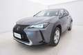 Lexus UX 250h Hybrid Business 2.0 Full Hybrid 184CV Grigio - thumbnail 9