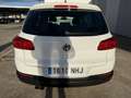 Volkswagen Tiguan 1.4TSI Sport 4x4 160 Blanc - thumbnail 4