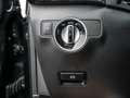 Mercedes-Benz B 250 AMG Line KLIMA SHZ PTS KAMERA NAVI LED Negro - thumbnail 19