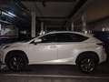 Lexus NX 300h 4WD Executive Navigation Blanco - thumbnail 2