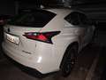 Lexus NX 300h 4WD Executive Navigation Blanco - thumbnail 4