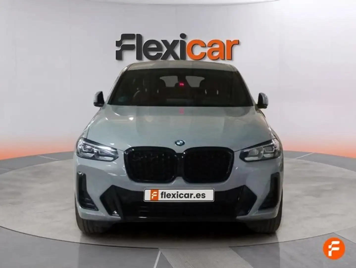 BMW X4 xDrive30d Gris - 2