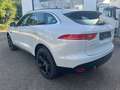 Jaguar F-Pace F-PACE Prestige AWD / Top Zustand Weiß - thumbnail 4