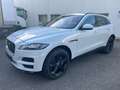 Jaguar F-Pace F-PACE Prestige AWD / Top Zustand Weiß - thumbnail 1