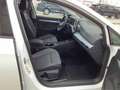 Volkswagen Golf VIII GOAL 2.0 TDI DSG LED+ NAVI AHK RFK Weiß - thumbnail 5