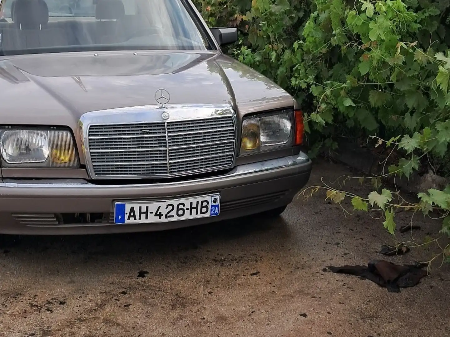 Mercedes-Benz S 260 SE Brąz - 2