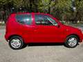 Fiat 600 600 III 2005 1.1 Червоний - thumbnail 4