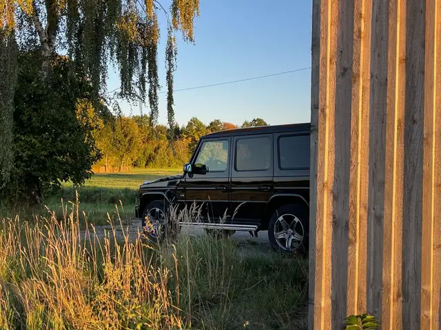 Mercedes-Benz G-Class view 13