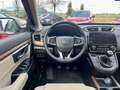 Honda CR-V 1.5T 4WD Executive Червоний - thumbnail 12
