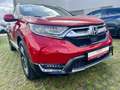 Honda CR-V 1.5T 4WD Executive crvena - thumbnail 3