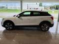 Audi Q2 Q2 40 2.0 tfsi Admired Advanced quattro s-tronic Bianco - thumbnail 6