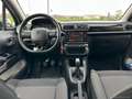 Citroen C3 BlueHDi 100 S&S Shine *NEOPATENTATI* Bej - thumbnail 13