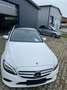 Mercedes-Benz C 220 d Avantgarde PAN-DACH Weiß - thumbnail 17