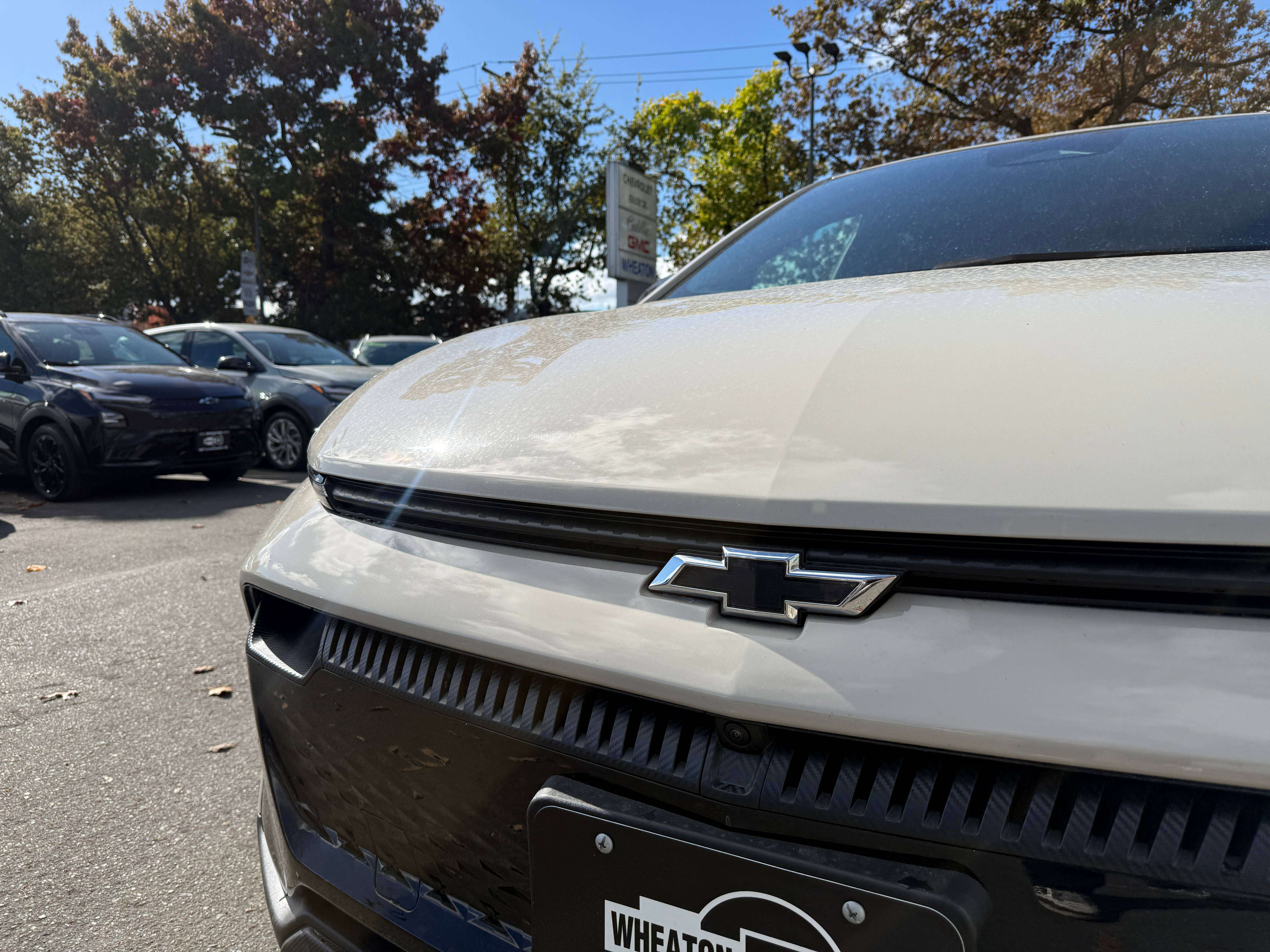 Image 11