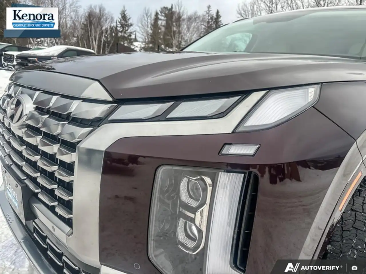 Hyundai PALISADE снимка Hyundai PALISADE