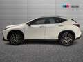 Lexus NX 350h II 350h 2.5 F-Sport 4wd e-cvt Wit - thumbnail 5