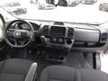 Fiat DUCATO 7 POSTI DOPPIA CABINA CASSONATO Weiß - thumbnail 11