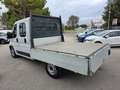 Fiat DUCATO 7 POSTI DOPPIA CABINA CASSONATO Weiß - thumbnail 4