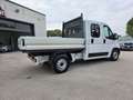 Fiat DUCATO 7 POSTI DOPPIA CABINA CASSONATO Weiß - thumbnail 2