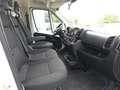 Fiat DUCATO 7 POSTI DOPPIA CABINA CASSONATO Weiß - thumbnail 9