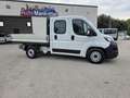 Fiat DUCATO 7 POSTI DOPPIA CABINA CASSONATO Weiß - thumbnail 3