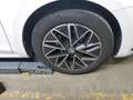 Skoda Octavia Combi 2.0 TDI DSG CLEVER *AHK *ACC *RKAM *LED *VI Bianco - thumbnail 6