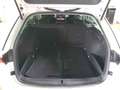 Skoda Octavia Combi 2.0 TDI DSG CLEVER *AHK *ACC *RKAM *LED *VI Bianco - thumbnail 7