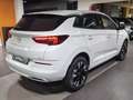 Opel Grandland X 1.2 130CV Business Elegance Automatico Bianco - thumbnail 6