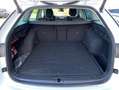 Skoda Octavia Combi 2.0 TDI Style NAVI-COLUMBUS+AHK+MA Weiß - thumbnail 12