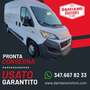 Fiat Ducato Ducato 33Q 2.3 MJT 130CV MH2 + IVA camper Bianco - thumbnail 1