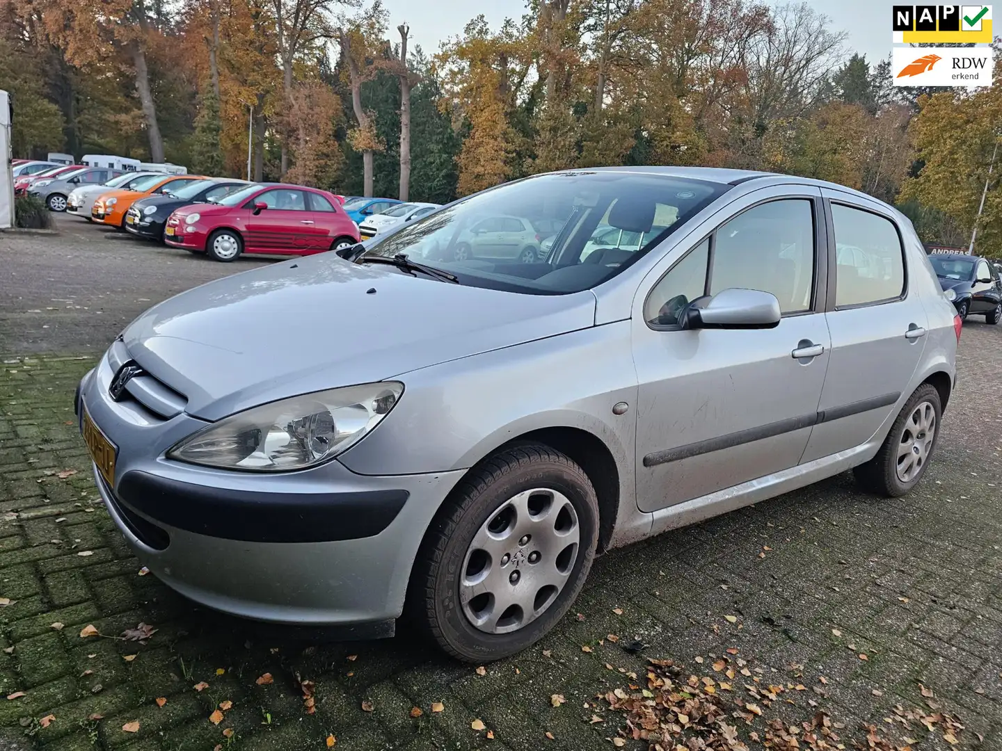 Peugeot 307 1.6-16V XT Gris - 1