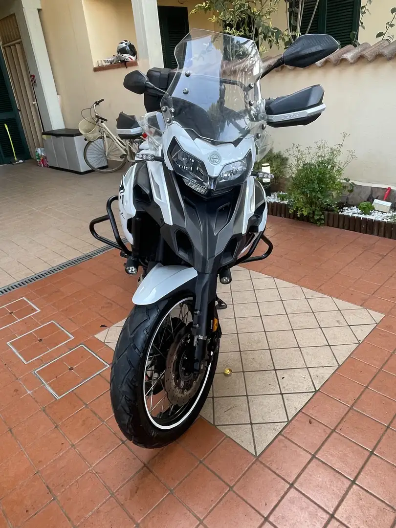 Benelli TRK 502 502 X Bianco - 2