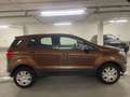 Ford EcoSport Trend Braun - thumbnail 8