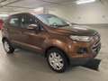 Ford EcoSport Trend Braun - thumbnail 9