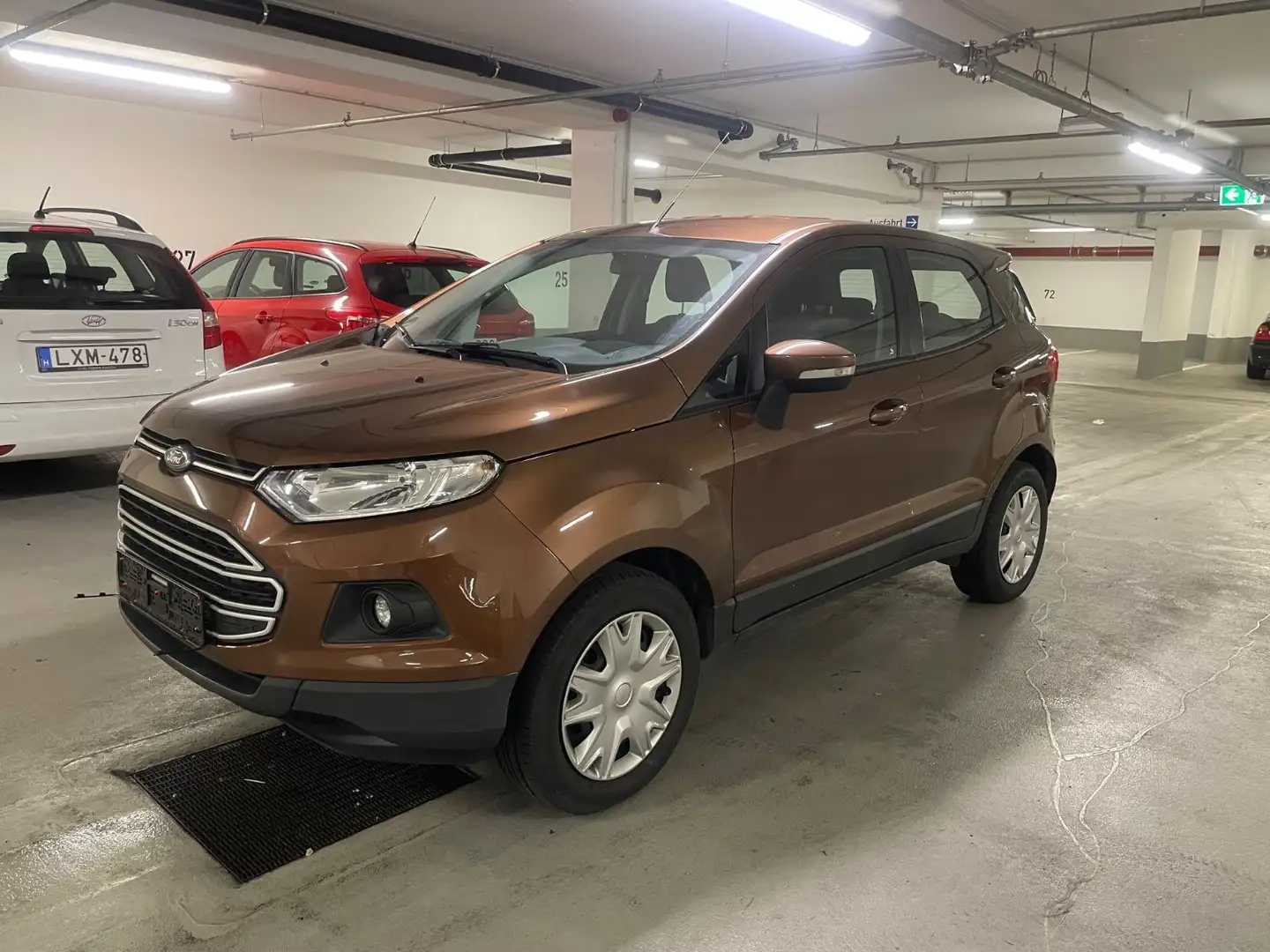 Ford EcoSport Trend Braun - 1