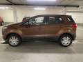 Ford EcoSport Trend Braun - thumbnail 3
