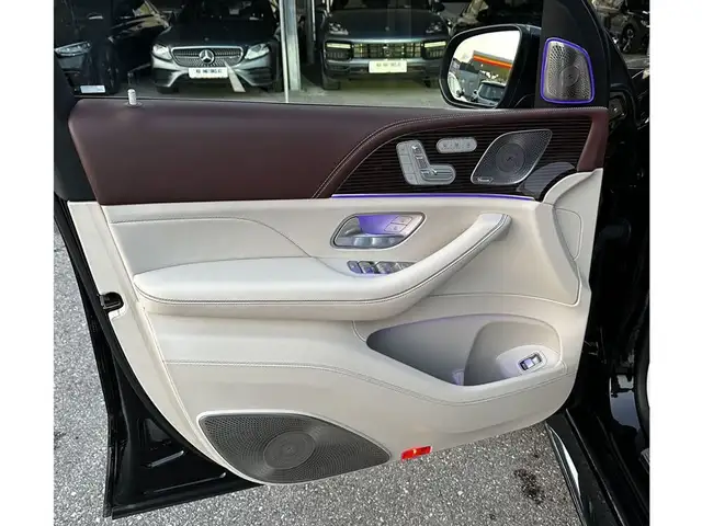 Mercedes-Benz GLS 600 Maybach 4Matic Ansicht 19