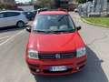 Fiat Panda 1.2 Emotion eco NEOPATENTATI Rosso - thumbnail 6