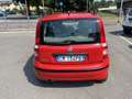 Fiat Panda 1.2 Emotion eco NEOPATENTATI Rosso - thumbnail 4