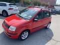 Fiat Panda 1.2 Emotion eco NEOPATENTATI Rosso - thumbnail 2