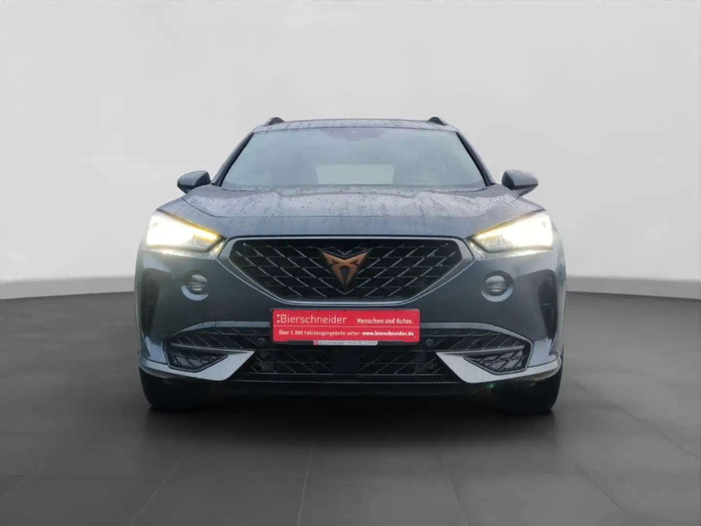 CUPRA Formentor 1.5 TSI DSG KAMERA NAVI LED ACC SHZ GRA FULL LINK Grau - 2