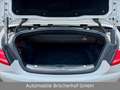 Mercedes-Benz S 63 AMG S63 AMG 4M Cabrio Swarovski/Nachtsicht/Exclusiv Weiß - thumbnail 24