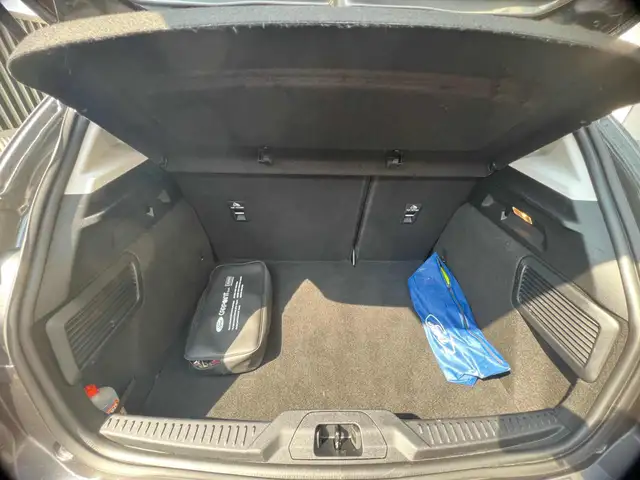 Ford Focus view 10