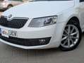 Skoda Octavia 1.4 TSI Style DSG 150 Blanco - thumbnail 18