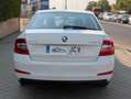 Skoda Octavia 1.4 TSI Style DSG 150 Blanco - thumbnail 10
