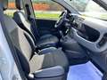 Fiat New Panda 1.2  Easy Белый - thumbnail 12