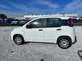Fiat New Panda 1.2  Easy Белый - thumbnail 8