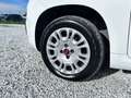 Fiat New Panda 1.2  Easy Blanco - thumbnail 21