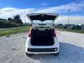 Fiat New Panda 1.2  Easy Blanco - thumbnail 20